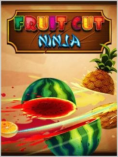 (Rus) Fruit Cut Ninja 240x320 X3-02 Touc