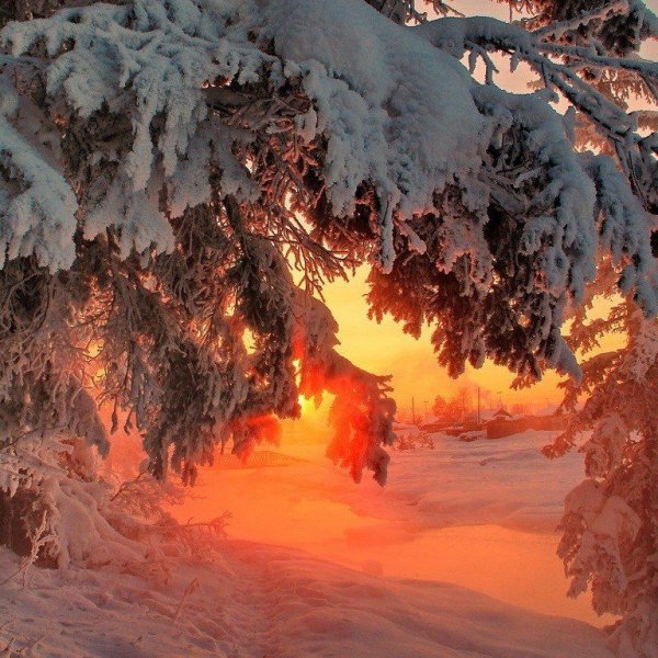 da72b79e63aa55eaf4fa7c8112437500