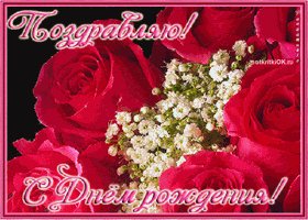 pozdravlenja-s-dnem-rojdenja-devushke-otkritka-besplatno