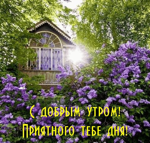 Анимированная открытка с добрым утром