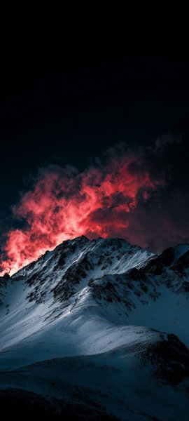 file_101549782