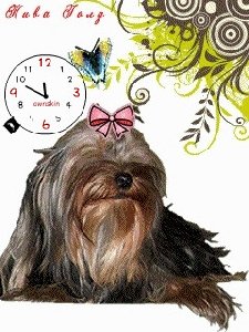 Anim.dog3