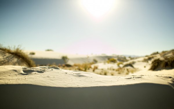 Luxfon.com 903