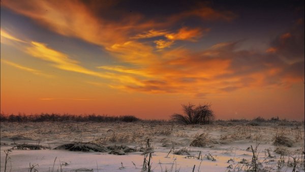 file_78922103