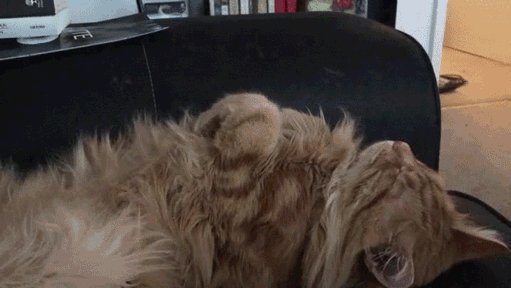 2dce88e03321a549fc8b1e686c501b42 187945 1494715447