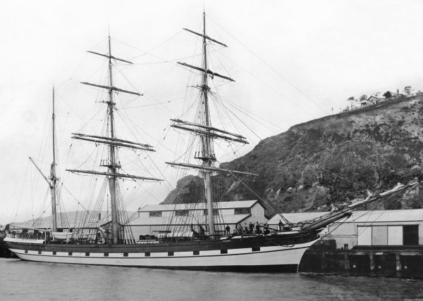 IMG viter59 Parsee cliper