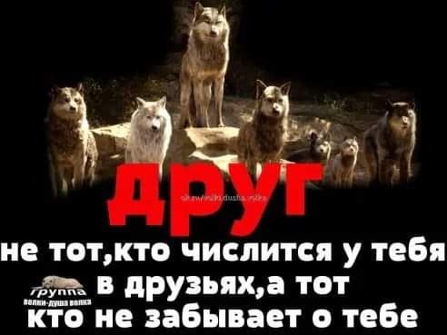 Друг