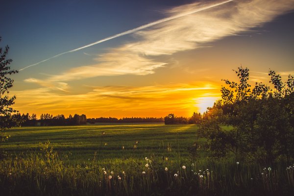 Pole-solntse-vesna-leto-trava-smolensk-nebo