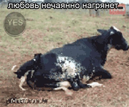 любовь зла