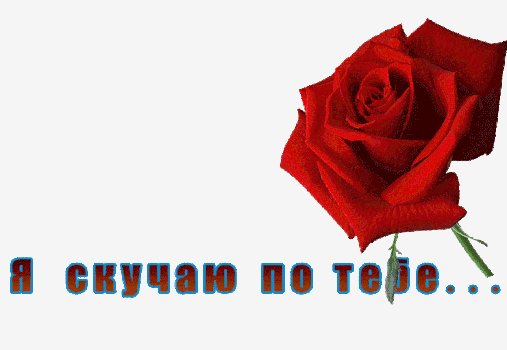 Middle d360bd107bfd3fb9cae1b90352a58151