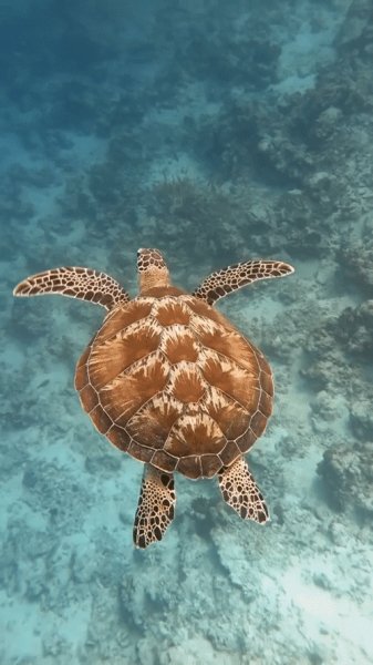 A1b1fabd5e1abb5443e55f6556429f35