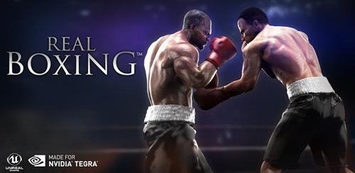 real-boxing-v1.3.2