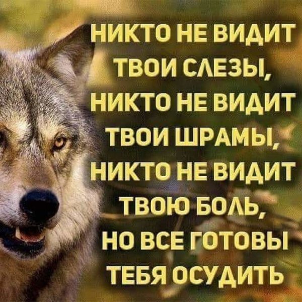 Готовы все