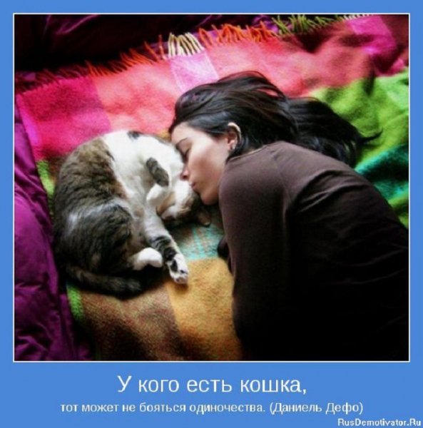 У кого есть кошка...