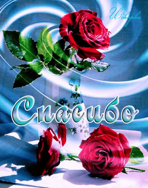 IMG 20190501 224808