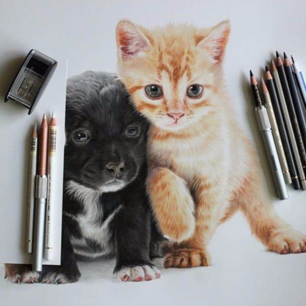 image (5)