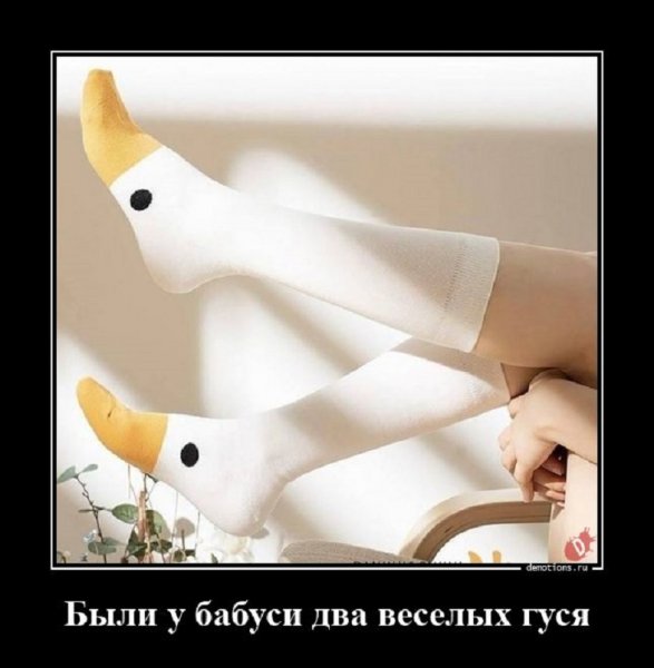 Были у бабуси два весёлых гуся