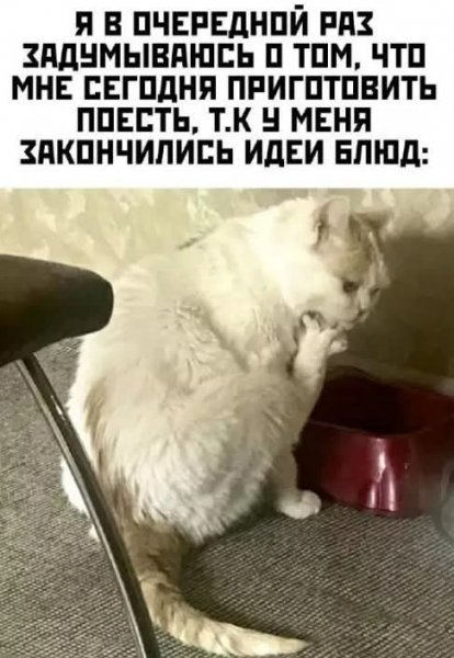 FB IMG 1776446863500