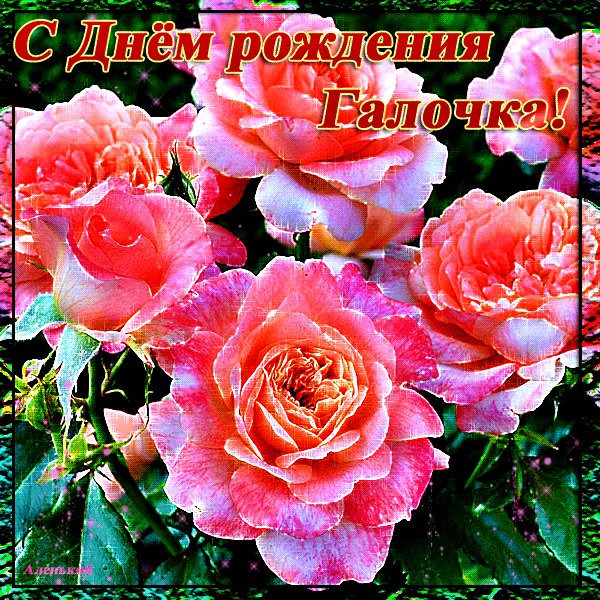 С Днём Рождения Галочка!