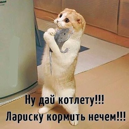 IMG 20180723 145950
