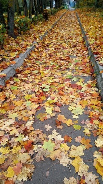 file_94983035