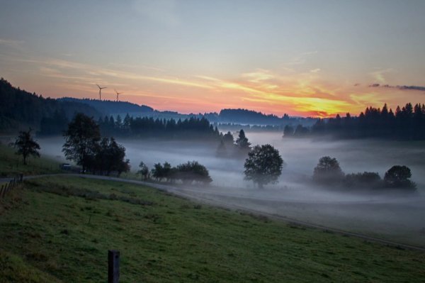 file_92113537