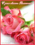 file_27594637