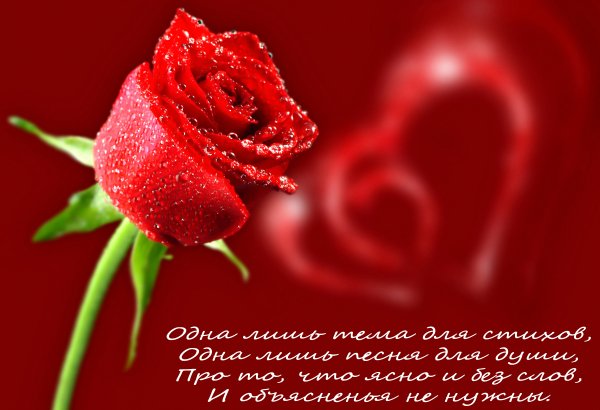 СВ день