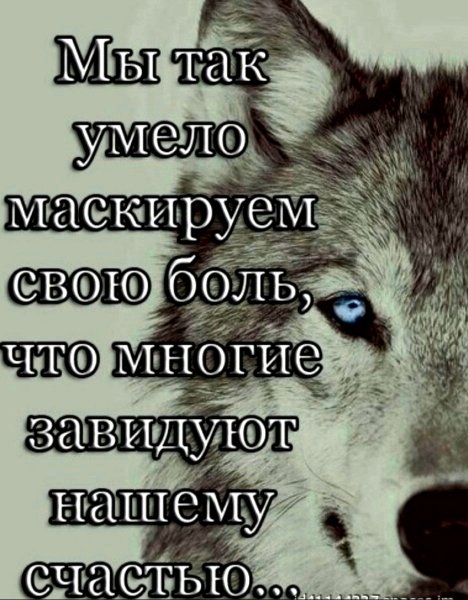 file_97898027
