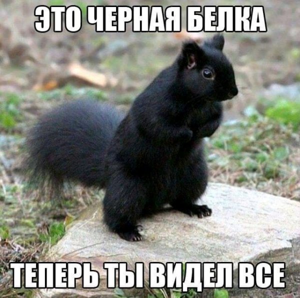 FB IMG 16322337115123181