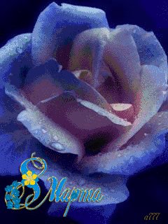 file_61754903