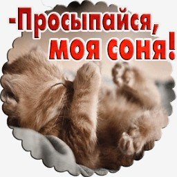 Prosypajsya moj sonya