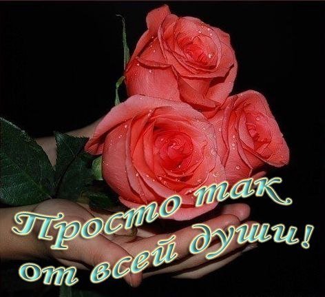 n39s0Kvctc4