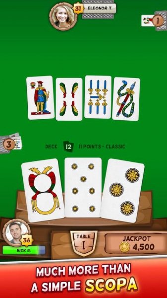 scopa-6.21.1
