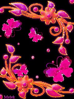 file_61040033