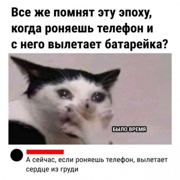 file_100651123