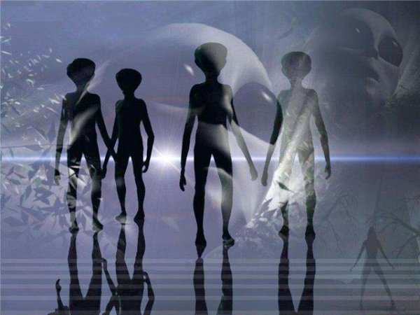 по ту сторону чудес