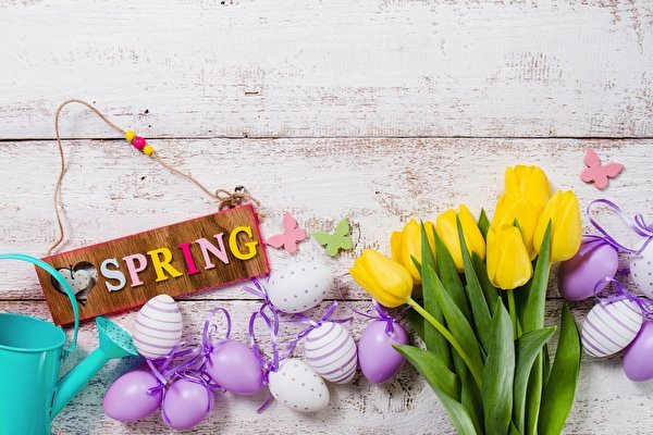 Easter Spring Tulips Eggs English Word Lettering 580897 600x4