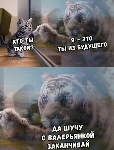 file_81840200