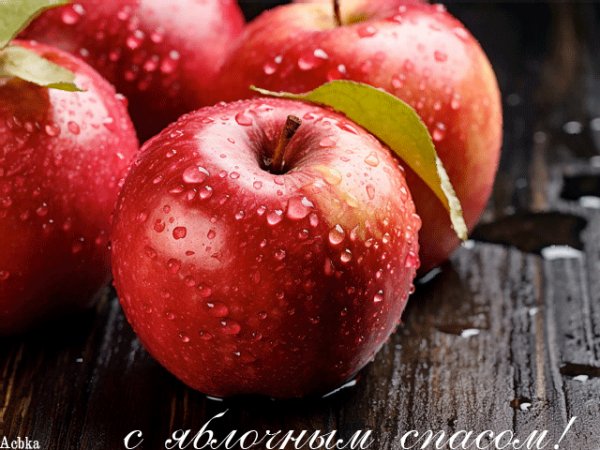 file_94328228
