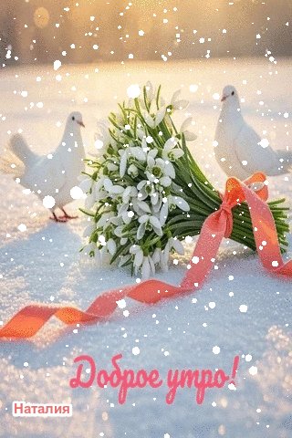 file_99309728