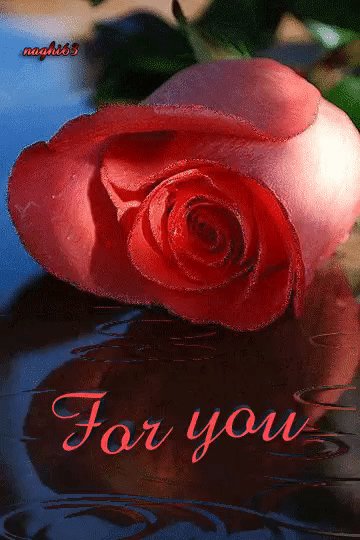 IMG 20170906 213955 5