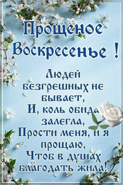 IMG-20240317-WA0014