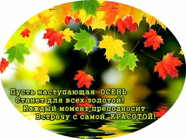 -7RvUGkKHew