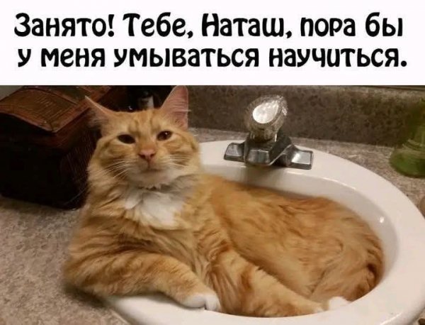 FB IMG 1777318315852