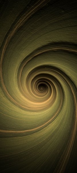 adapted 1080x2408 1771817845