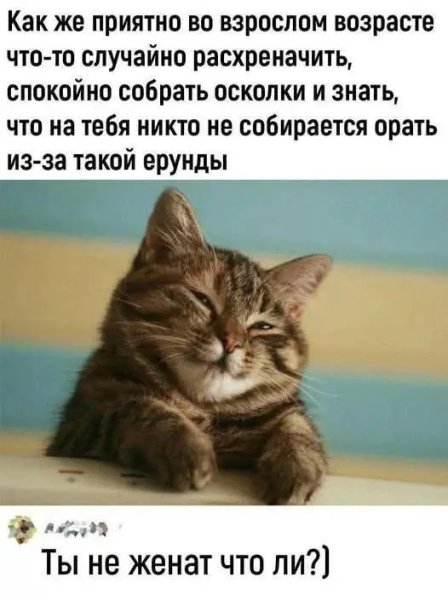 file_102809876