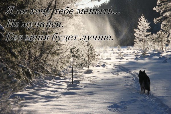 image (57)
