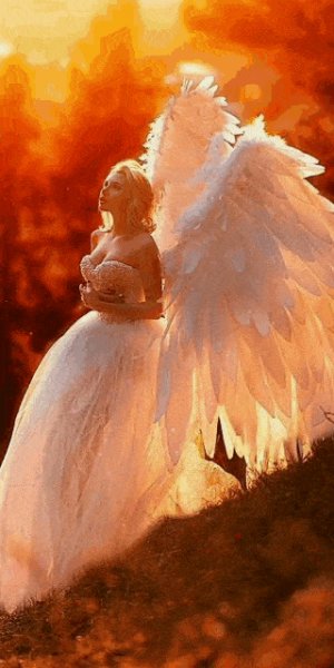 09-44-05-ac3684521938fa818a4a3fc7081752e7