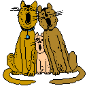 b3